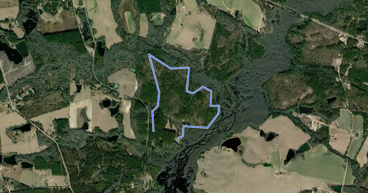Маршрут Primative Campsite Trail на спутниковом снимке