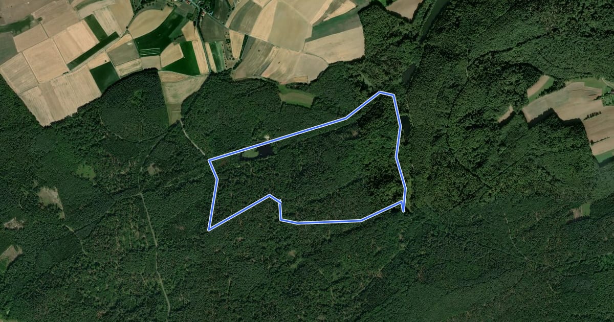 Маршрут Primmtal Wanderweg Nr. 2 на спутниковом снимке