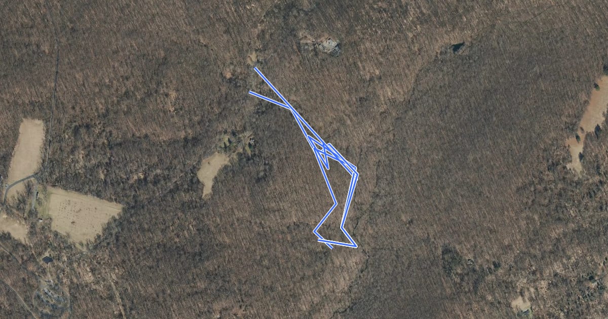 Маршрут Primrose Brook Trail на спутниковом снимке