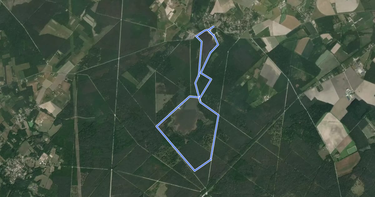 Маршрут Promenade de l'étang des Bois на спутниковом снимке