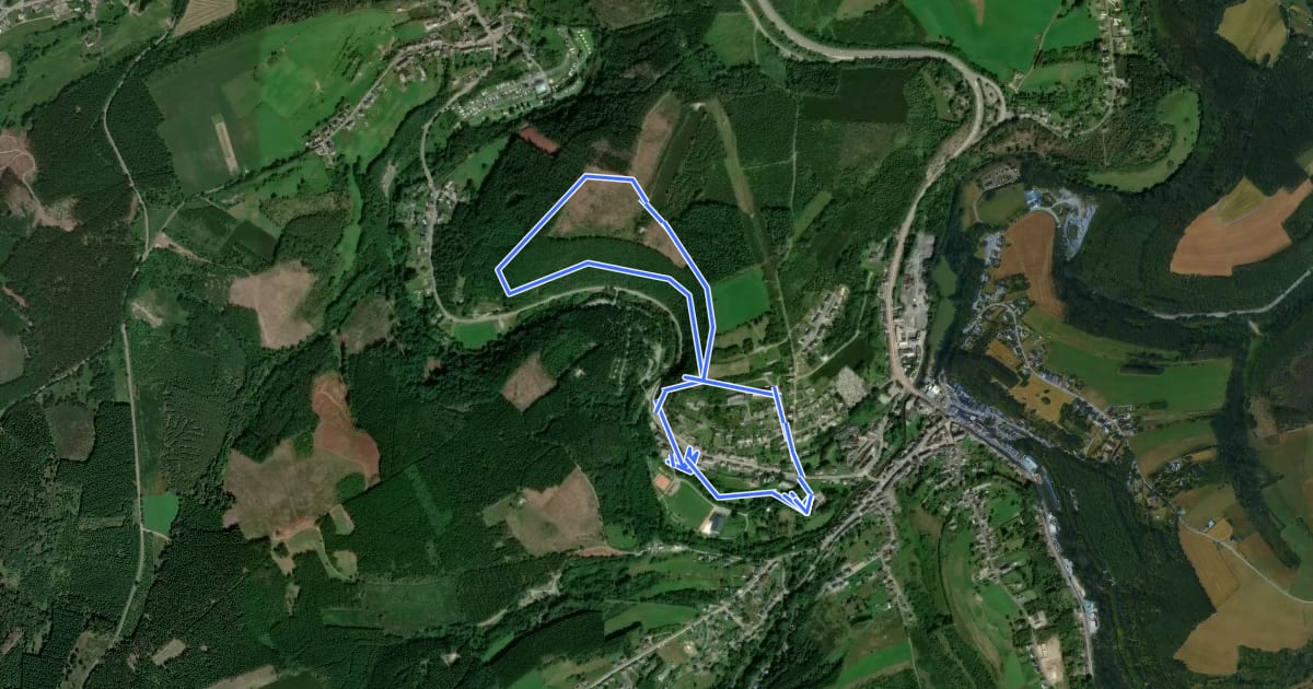 Маршрут Promenade du Belvédère на спутниковом снимке