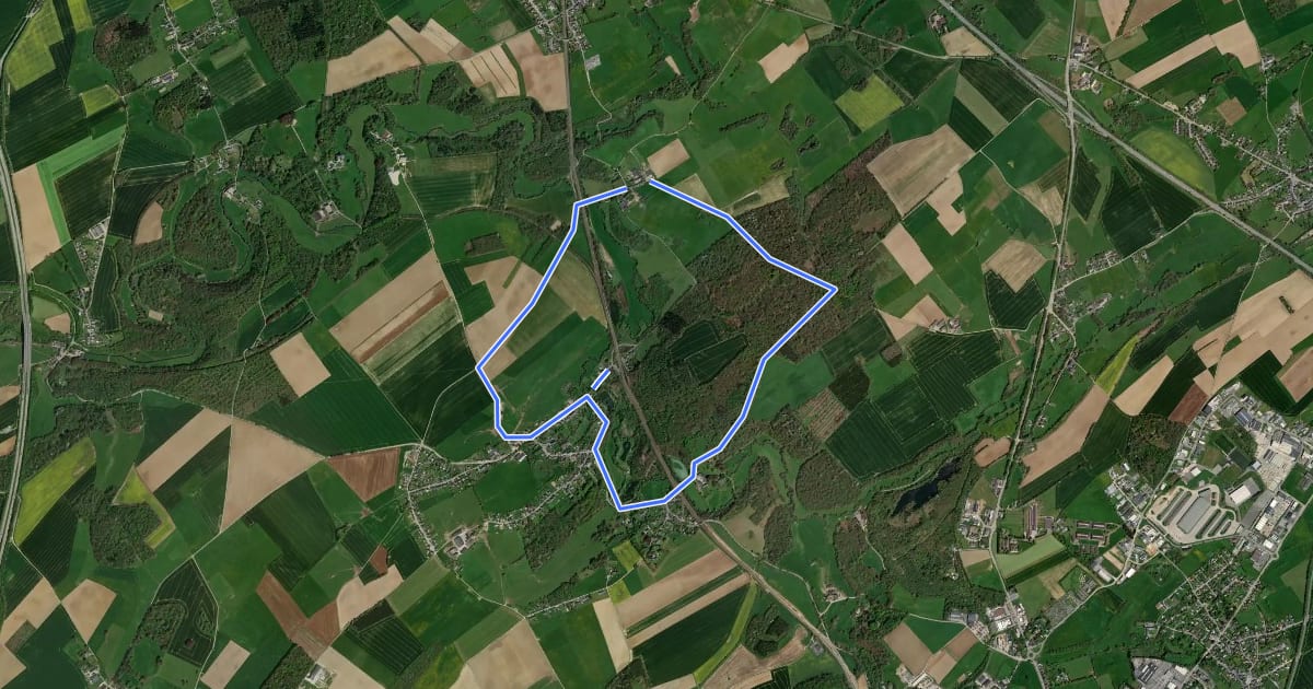 Маршрут Promenade du Bois des Aunes на спутниковом снимке