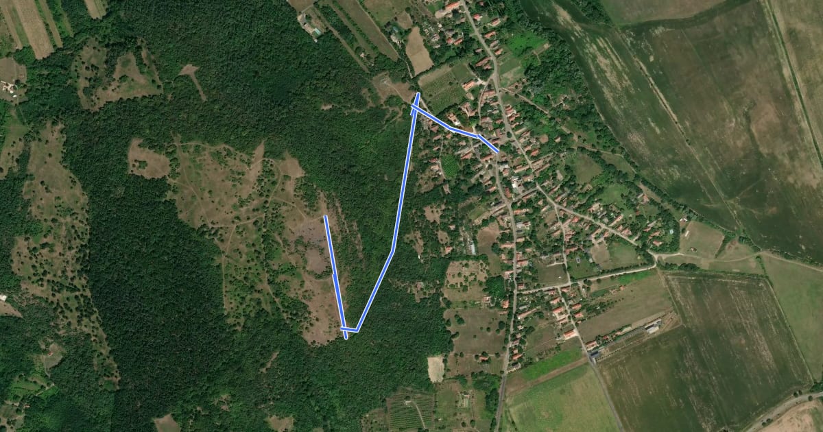 Маршрут PT, Kopasz-hegyi tanösvény на спутниковом снимке