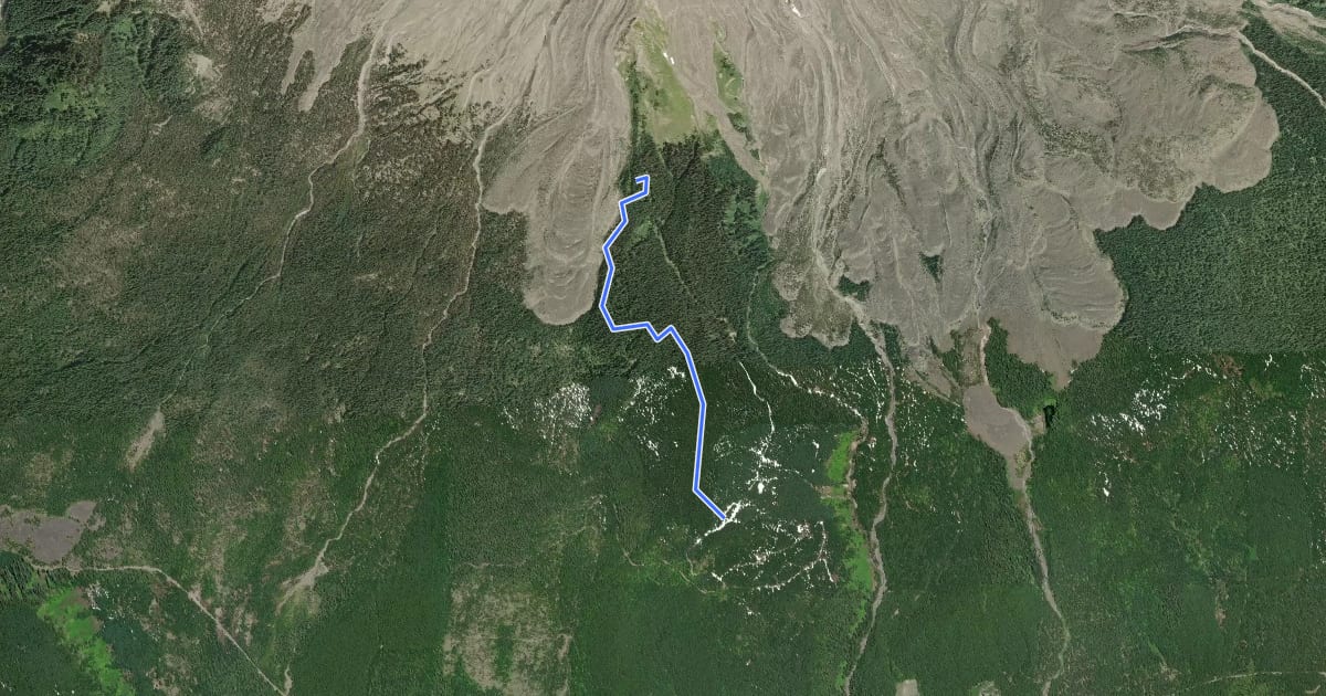 Маршрут Ptarmigan Trail на спутниковом снимке
