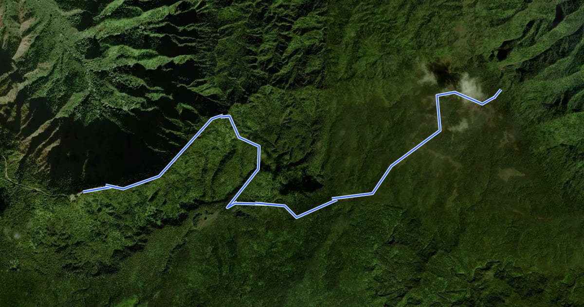 Маршрут Puʻu O Kila to Alakaʻi Swamp на спутниковом снимке