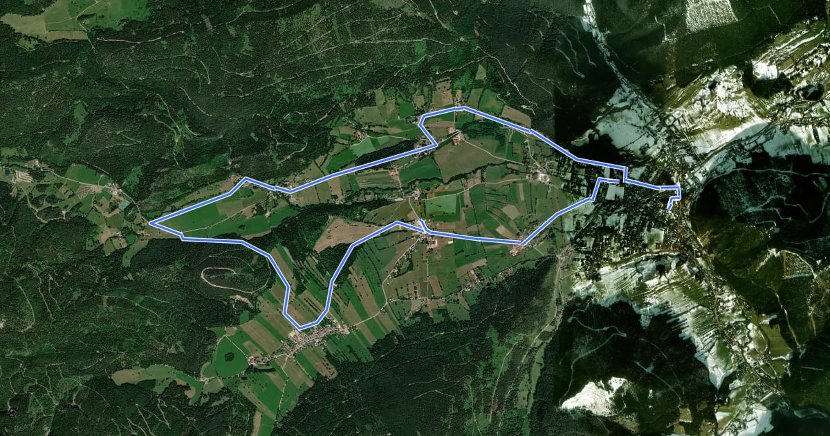 Маршрут Puchberg Laufstrecke 3 на спутниковом снимке