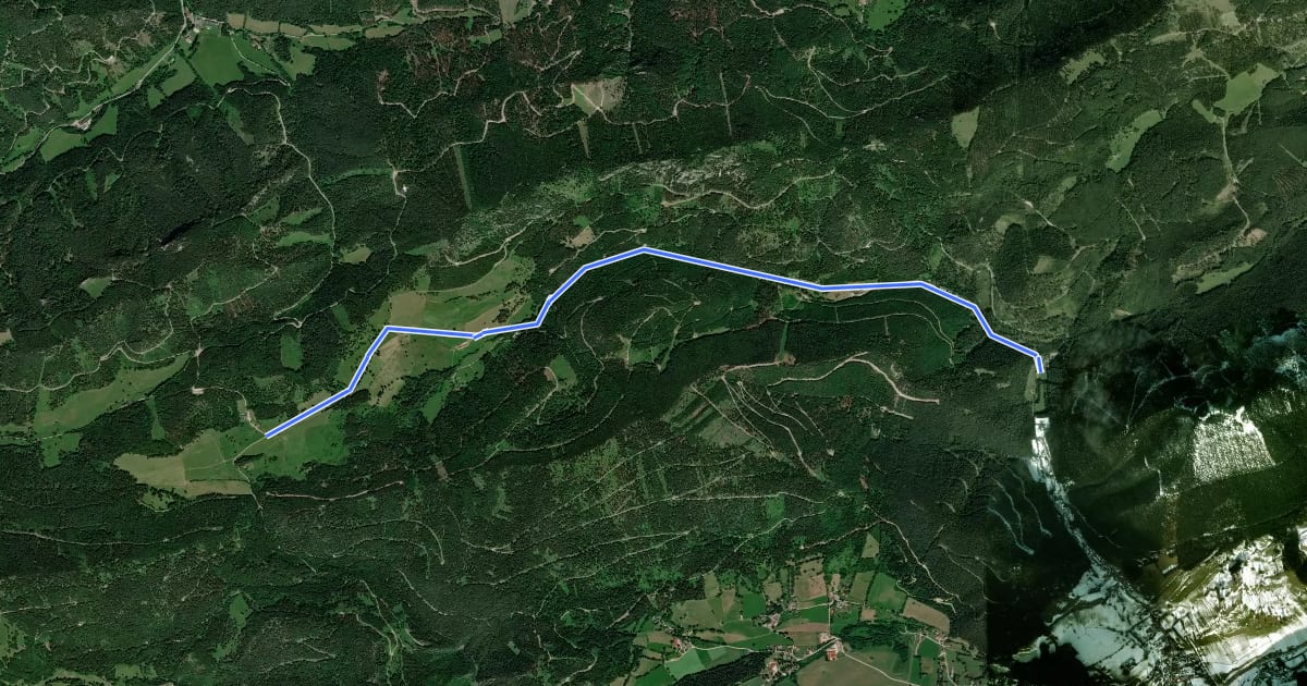 Маршрут Puchberg (Siemingstraße) - Schoberhof - Mamauwiese на спутниковом снимке