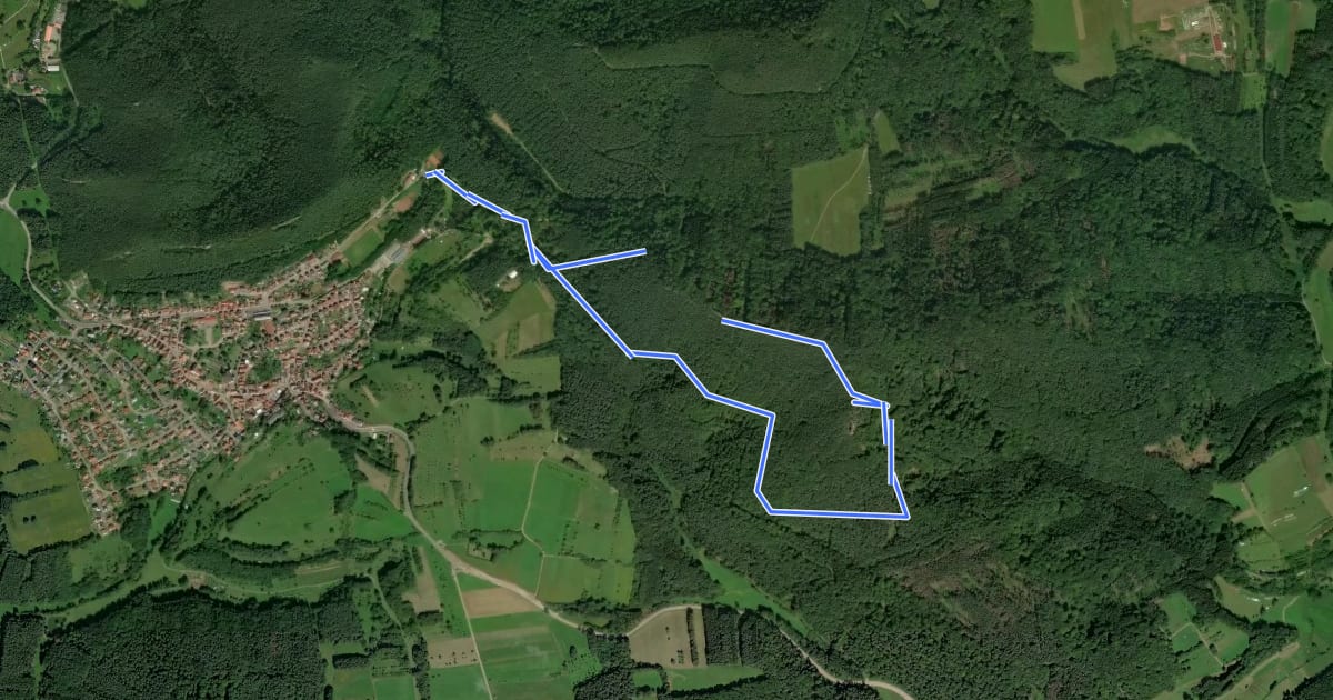 Маршрут Puhlstein-Tour на спутниковом снимке