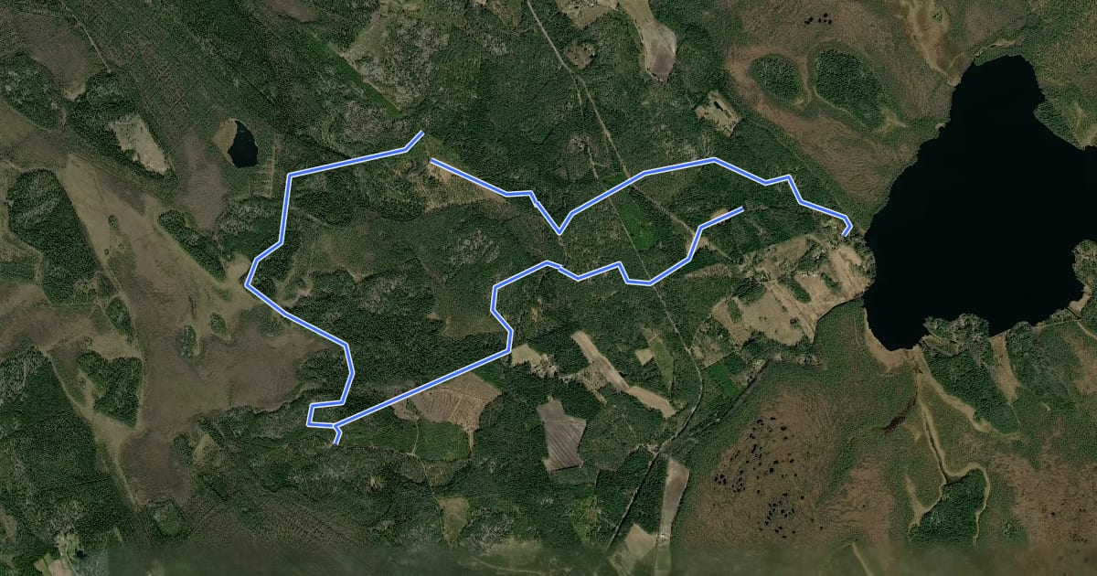 Маршрут Pukkipalon kierros 9 km на спутниковом снимке