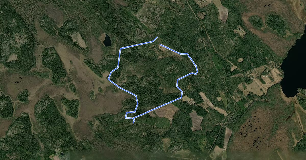 Маршрут Pukkipalon reitti 6 km на спутниковом снимке