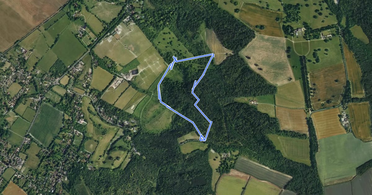 Маршрут Pulpit Hill Fort and Nature Reserves Circular Walk, Central Chilterns на спутниковом снимке