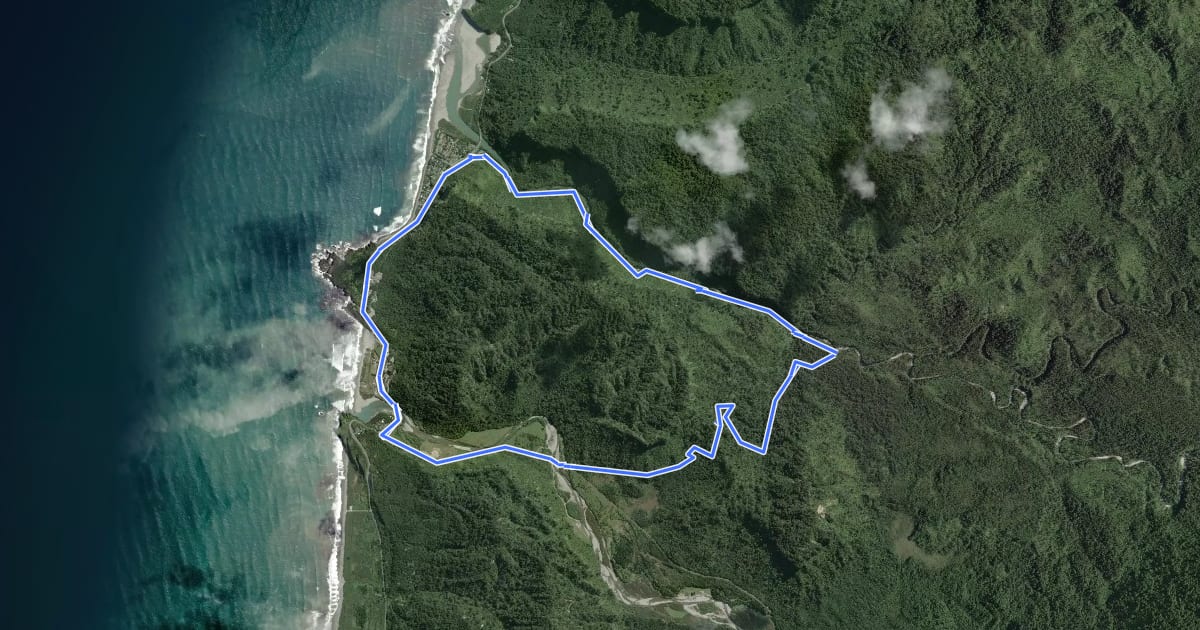 Маршрут Punakaiki - Pororari River Loop на спутниковом снимке