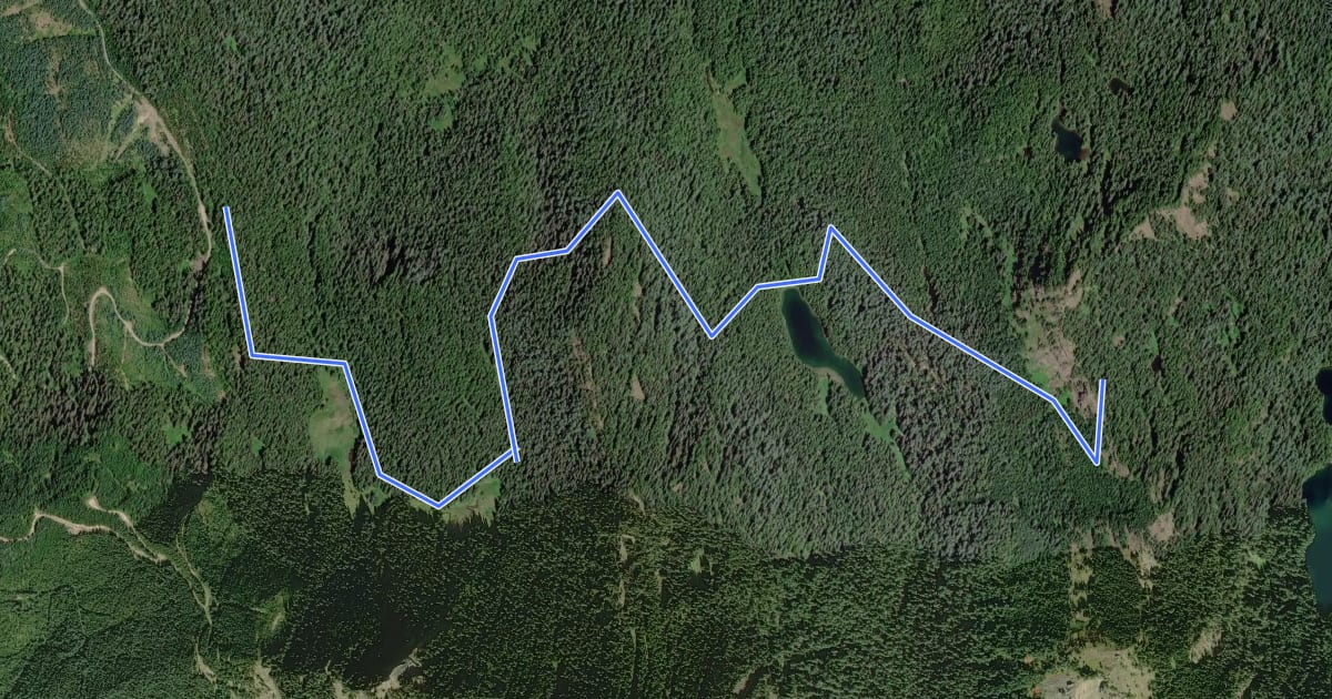 Маршрут Puyallup Trail #248 на спутниковом снимке