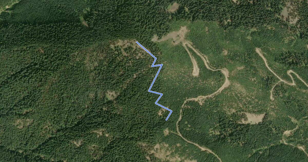 Маршрут Pyramid Peak Trail на спутниковом снимке