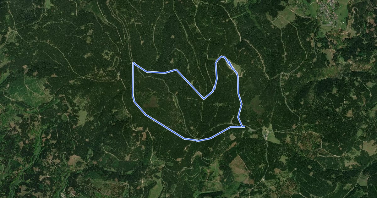 Маршрут QR-Code: Rundwanderweg über Schneekopf und Plänkners Aussicht на спутниковом снимке