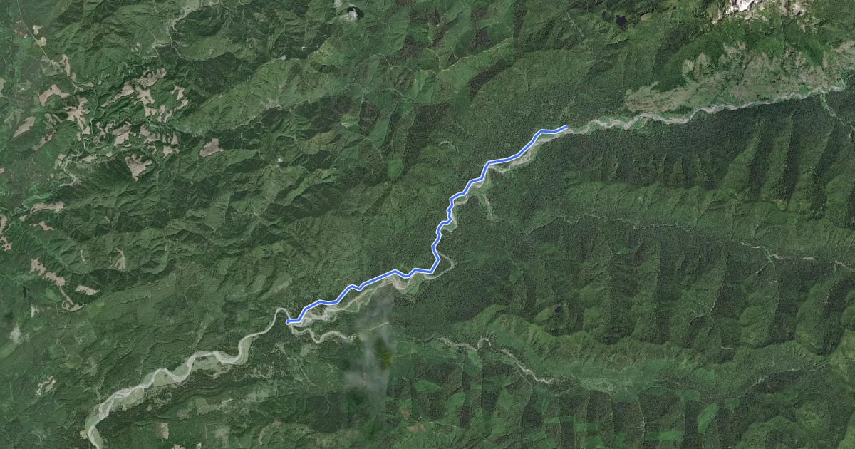 Маршрут Queets River Trail на спутниковом снимке