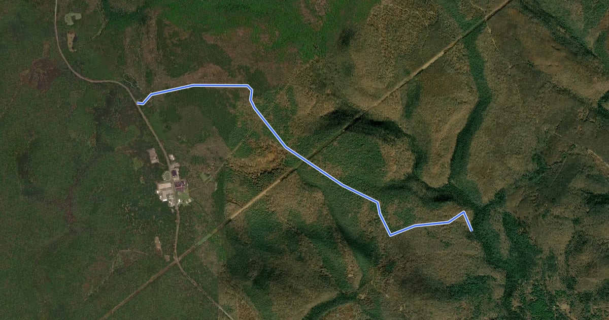 Маршрут Quehanna - Black Powder Trail на спутниковом снимке