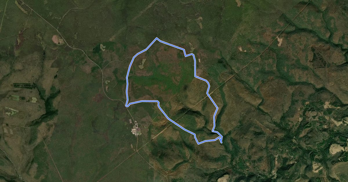 Маршрут Quehanna - Moyer Run Loop на спутниковом снимке