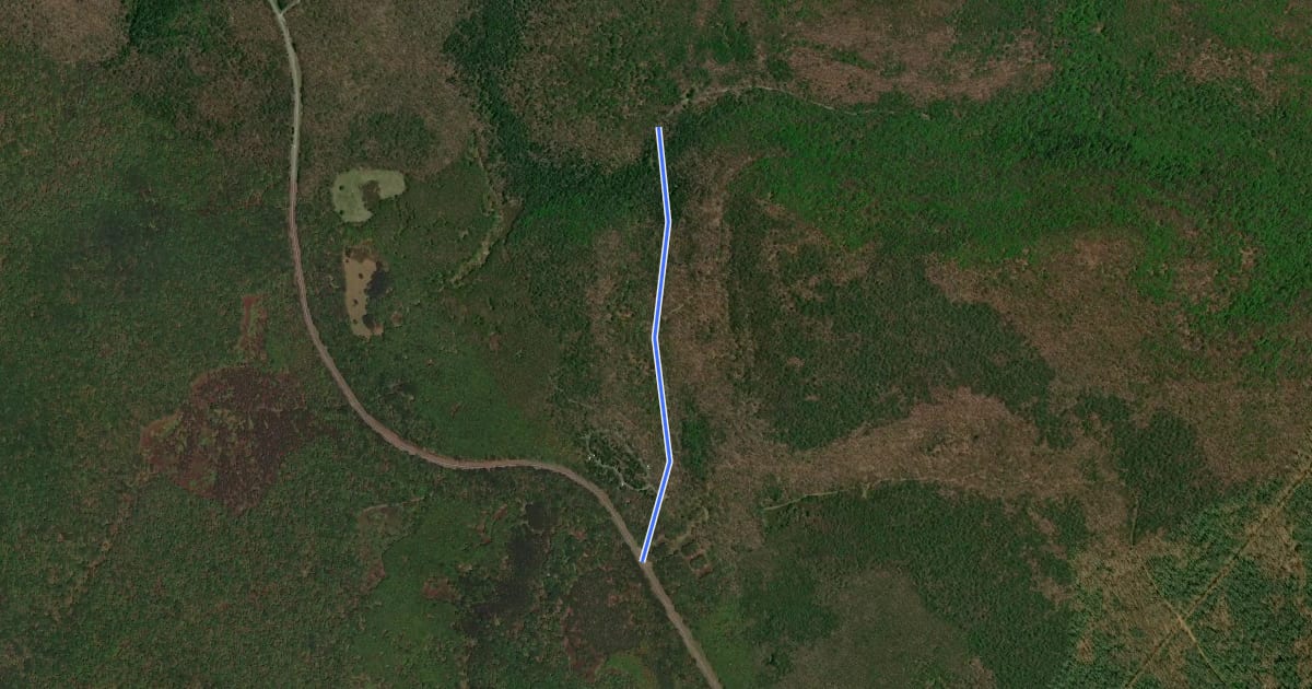 Маршрут Quehanna - Reservoir Road на спутниковом снимке