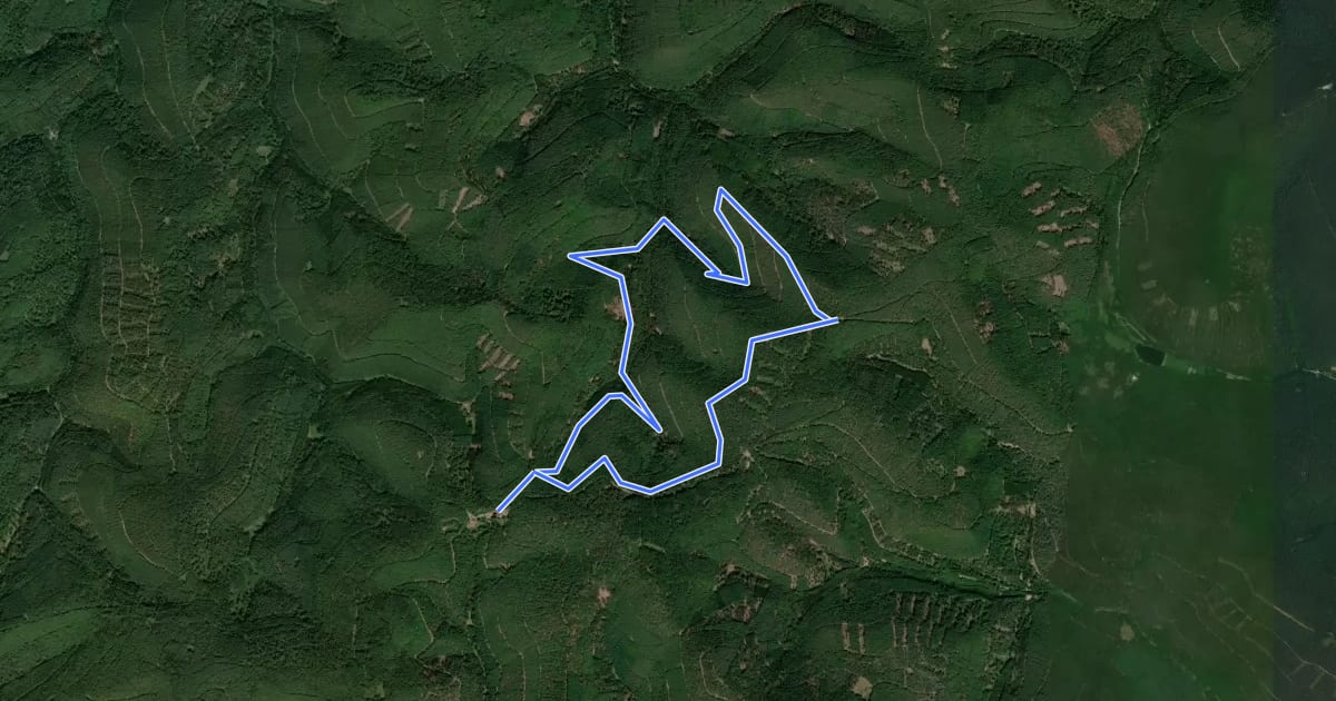Маршрут Quellenwanderweg на спутниковом снимке
