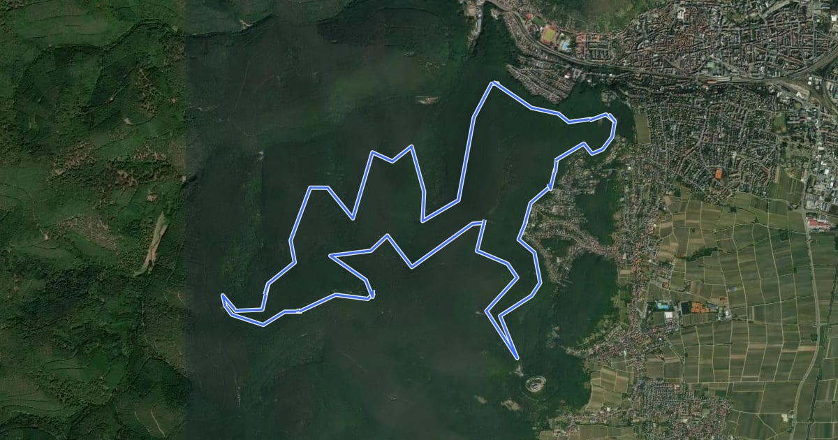 Маршрут Quellenweg на спутниковом снимке
