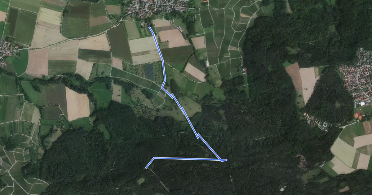 Маршрут Querweg des SAV (blauer Punkt) на спутниковом снимке
