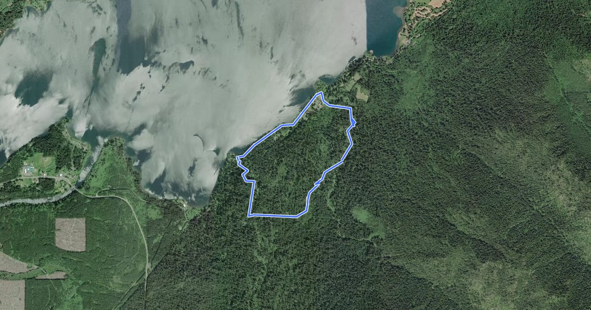 Маршрут Quinault Loop Trail на спутниковом снимке