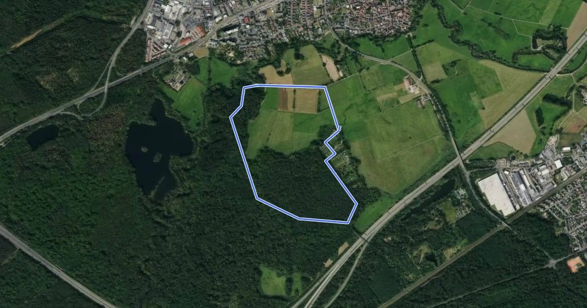 Маршрут Rückingen - Rundwanderweg Zecke на спутниковом снимке
