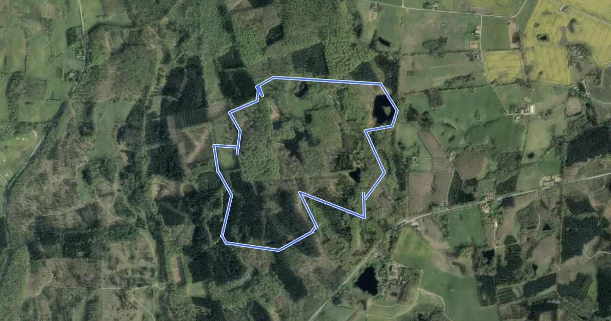 Маршрут Rød rute на спутниковом снимке