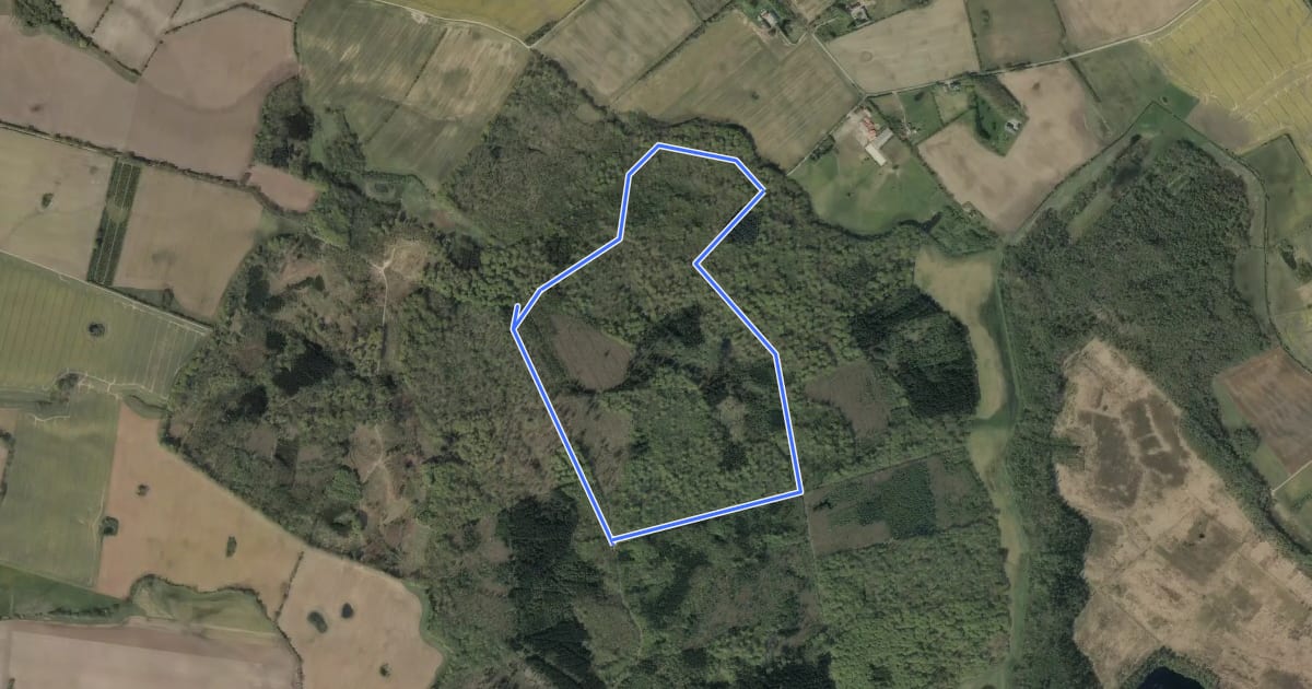 Маршрут Rød rute i Fovslet skov на спутниковом снимке
