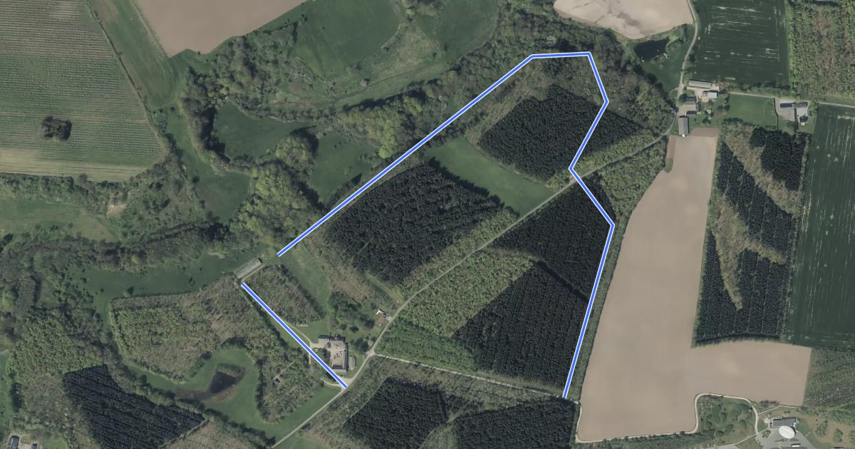 Маршрут Rød rute i Harte Skov на спутниковом снимке