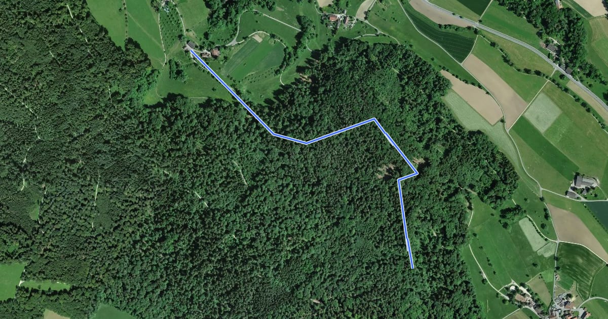 Маршрут Rüeblisberg - Mulflenflue на спутниковом снимке