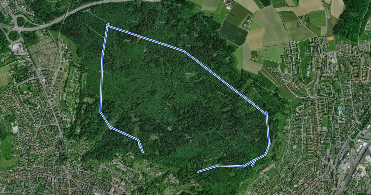 Маршрут Römerholz Rundweg на спутниковом снимке