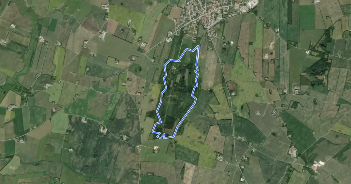 Маршрут Rønheden MTB на спутниковом снимке
