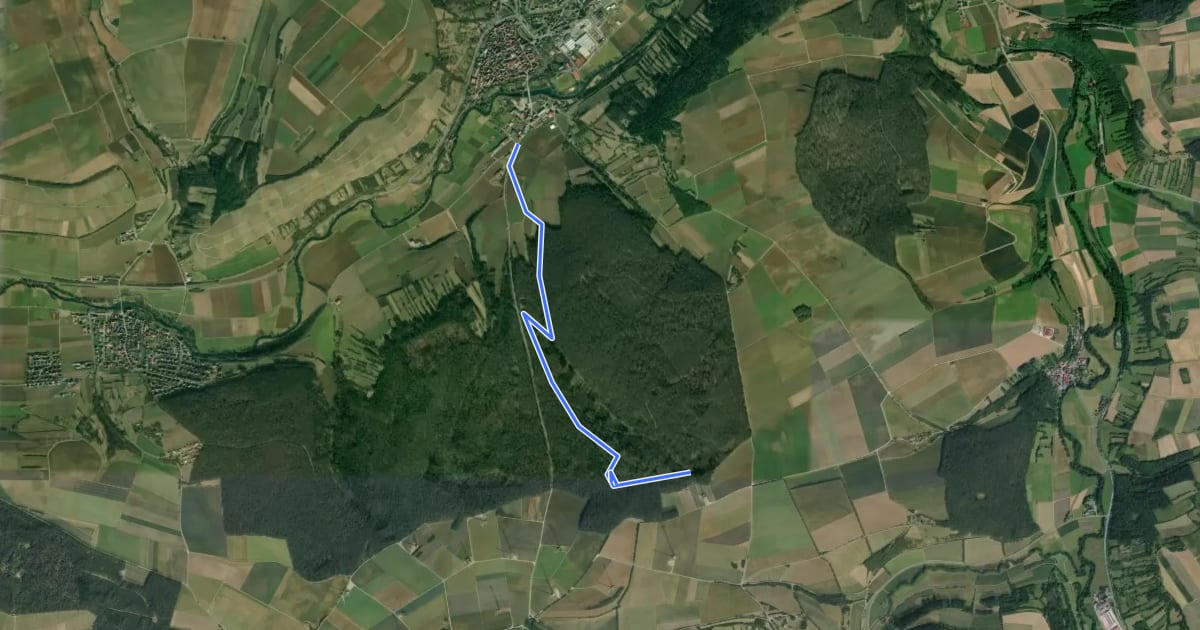Маршрут Röttingen - Bürgerwald на спутниковом снимке