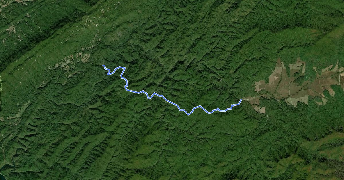Маршрут Rabbit Creek Trail на спутниковом снимке