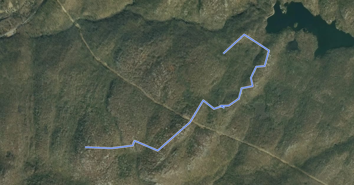 Маршрут Raccoon Brook Hills Trail на спутниковом снимке