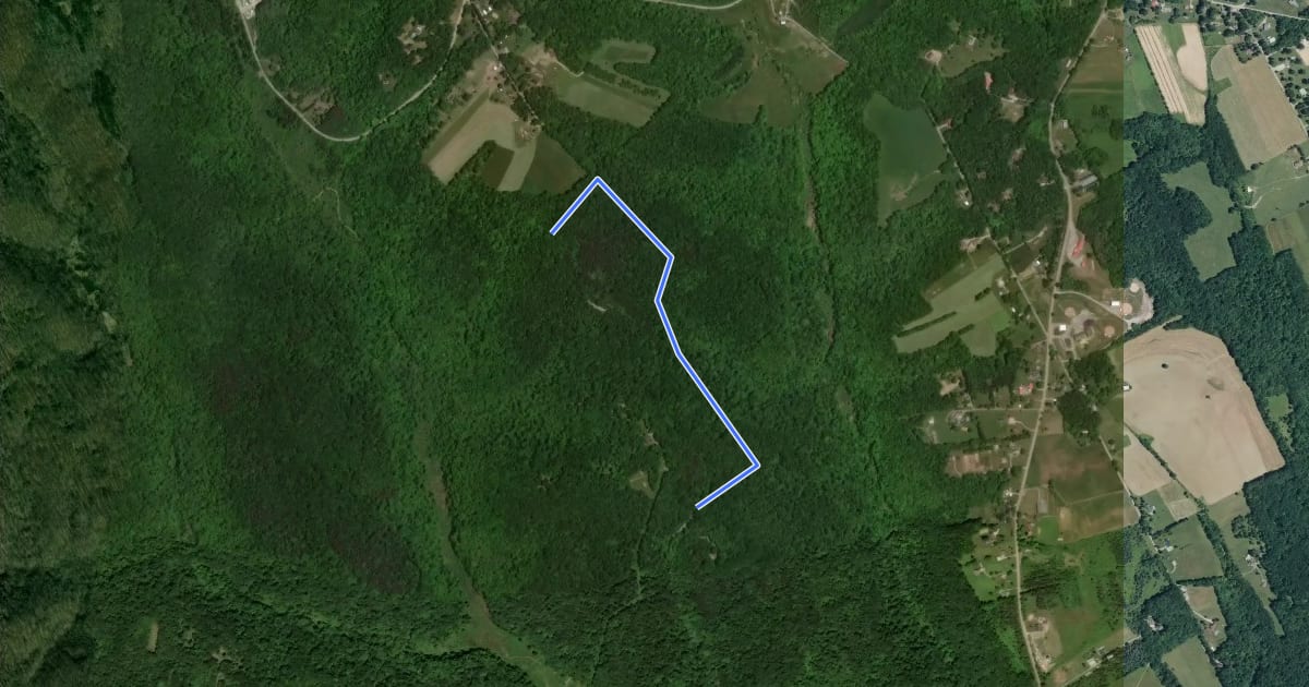 Маршрут Raccoon - Palomino Trail на спутниковом снимке