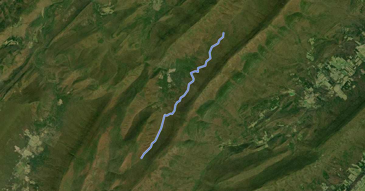 Маршрут Racer Camp Hollow Trail на спутниковом снимке