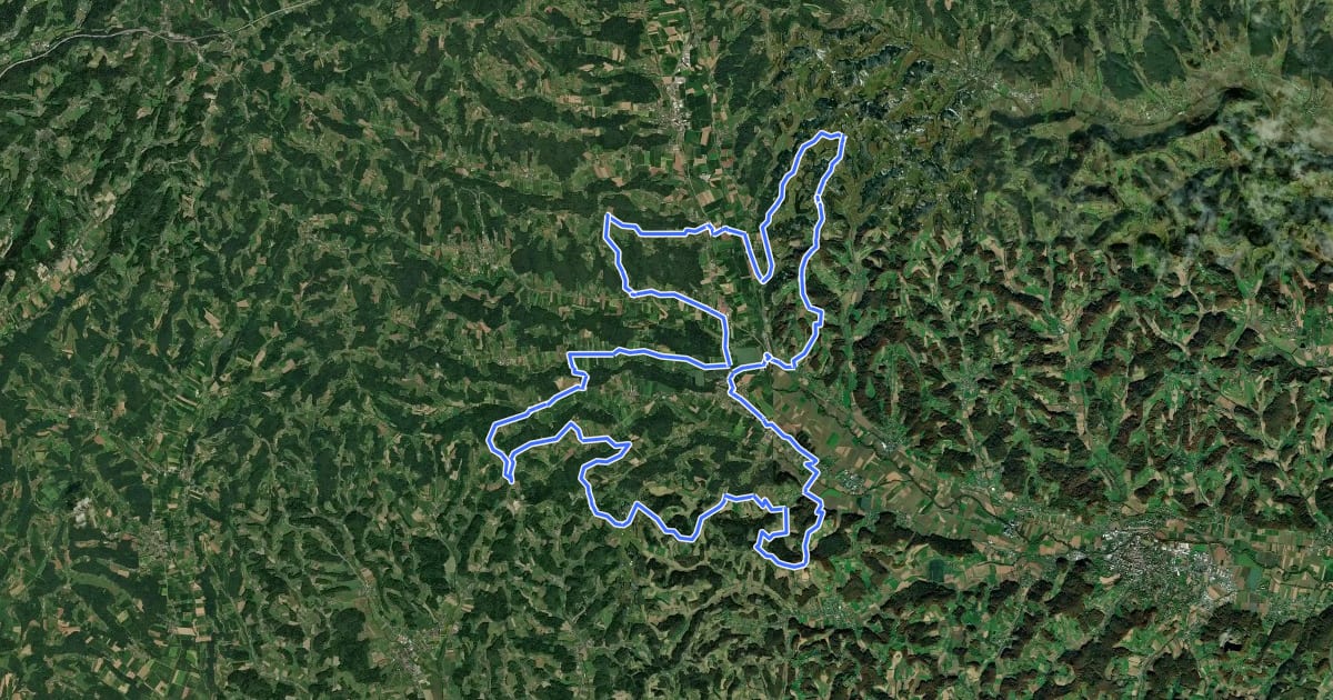 Маршрут Radtourvital sportlich на спутниковом снимке