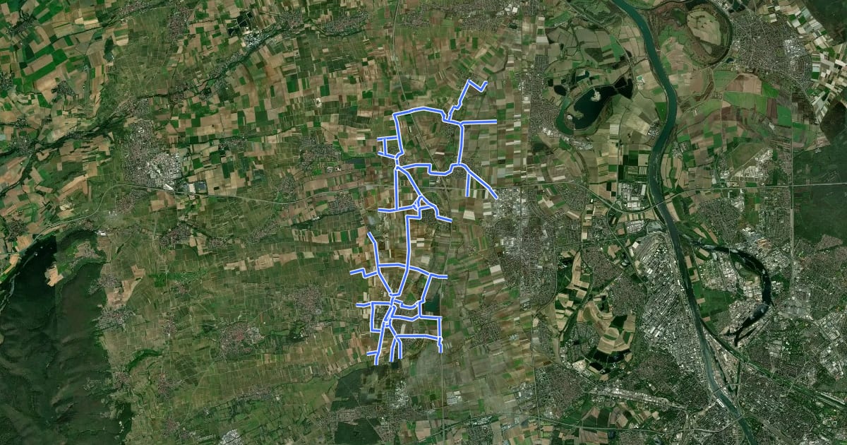 Маршрут Radverkehrsnetz RP-Lambsheim-Heßheim на спутниковом снимке