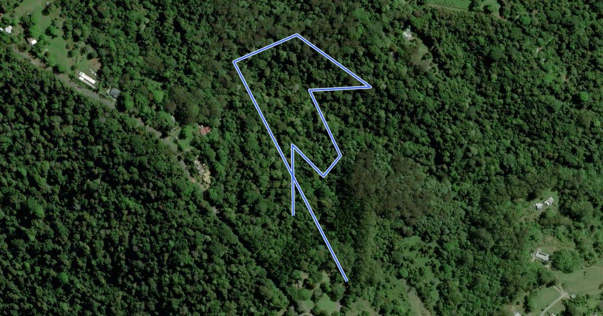 Маршрут Rainforest Circuit на спутниковом снимке
