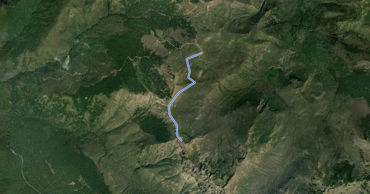 Маршрут Rainier View Trail на спутниковом снимке
