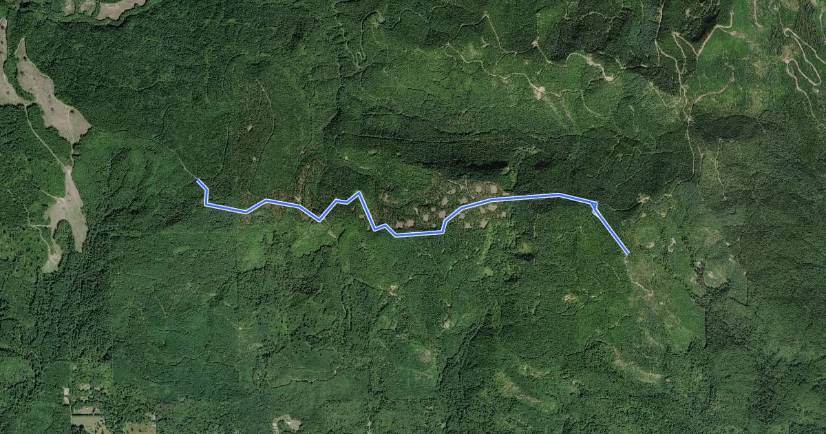 Маршрут Rainier Vista Trail на спутниковом снимке