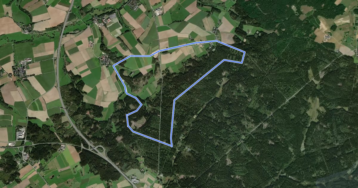 Маршрут Raitschinerweg на спутниковом снимке