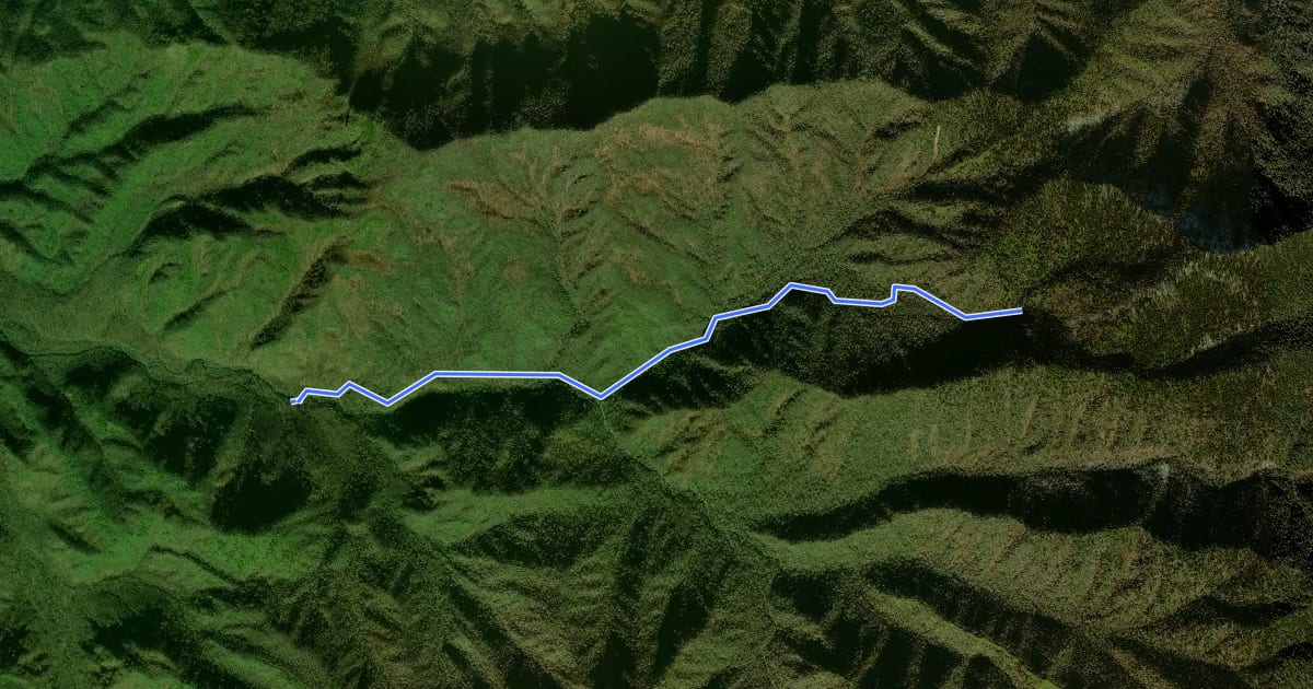 Маршрут Ramsey Cascades Trail на спутниковом снимке