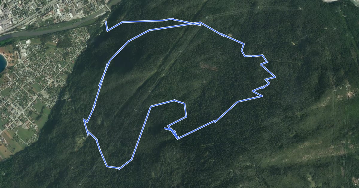 Маршрут Randonnée en forêt sur les hauteurs de Grignon на спутниковом снимке