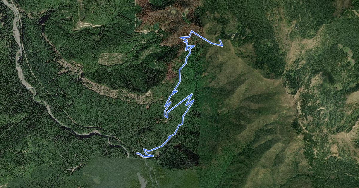 Маршрут Ranger Creek Trail на спутниковом снимке