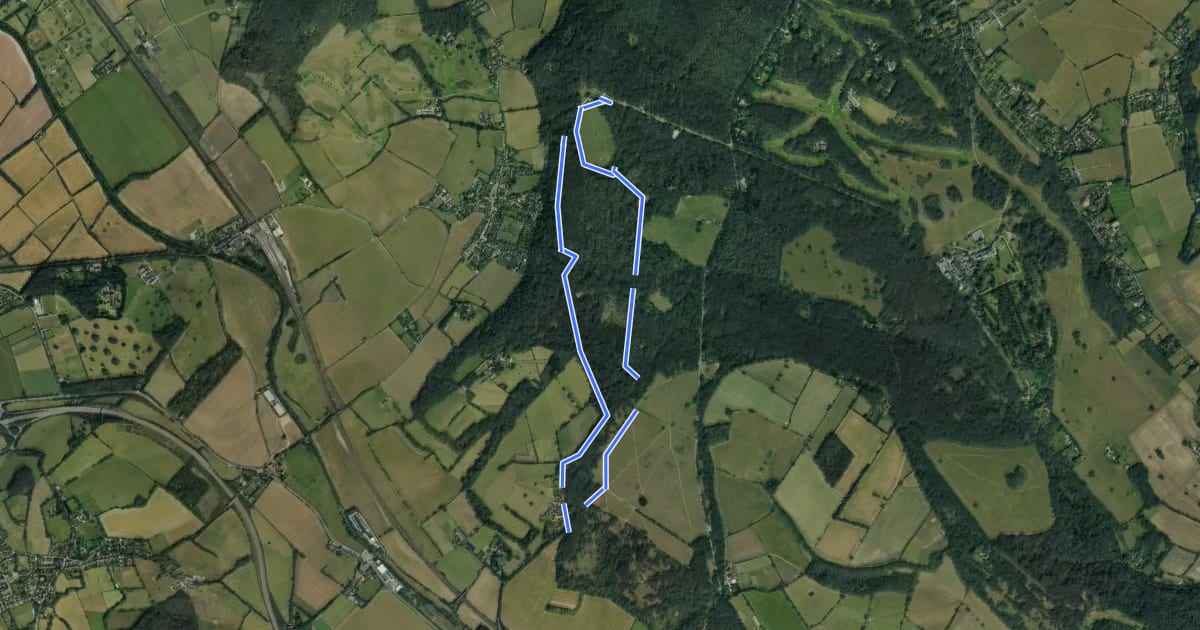 Маршрут Rangers' Ramble, Ashridge Estate на спутниковом снимке