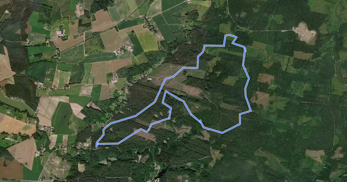 Маршрут Rankås 10Km на спутниковом снимке